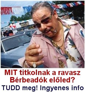 ravasz-berbeado-autoberles.jpg
